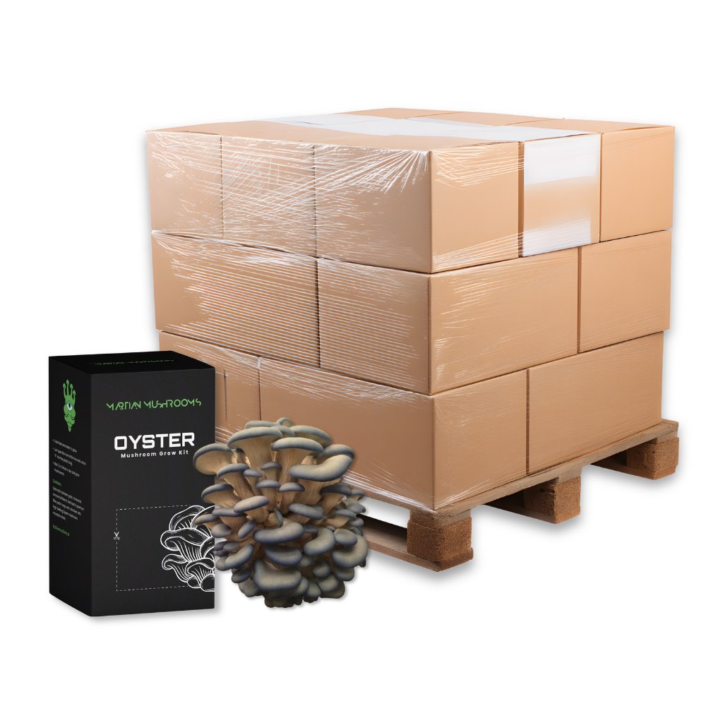 Bulk Blue Oyster Mushroom Grow Kits
