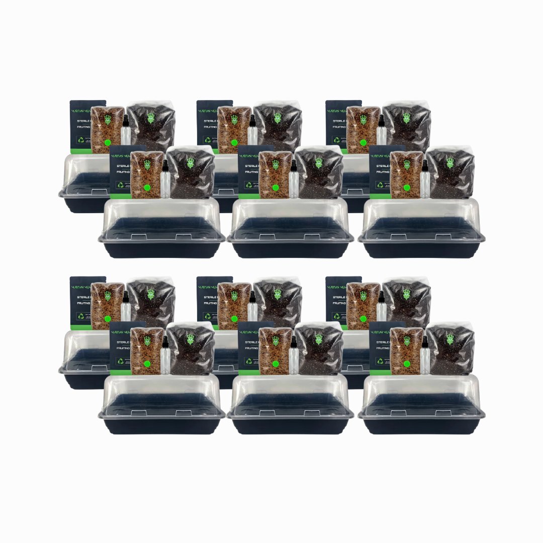 Monotub Mushroom Grow Kit monotub 5