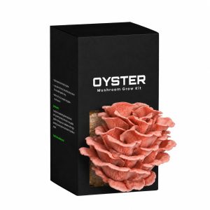 Pink Oyster mushroom grow kit box