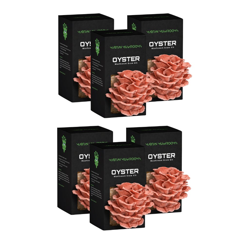 Pink Oyster Mushroom Grow Kit 6 pack
