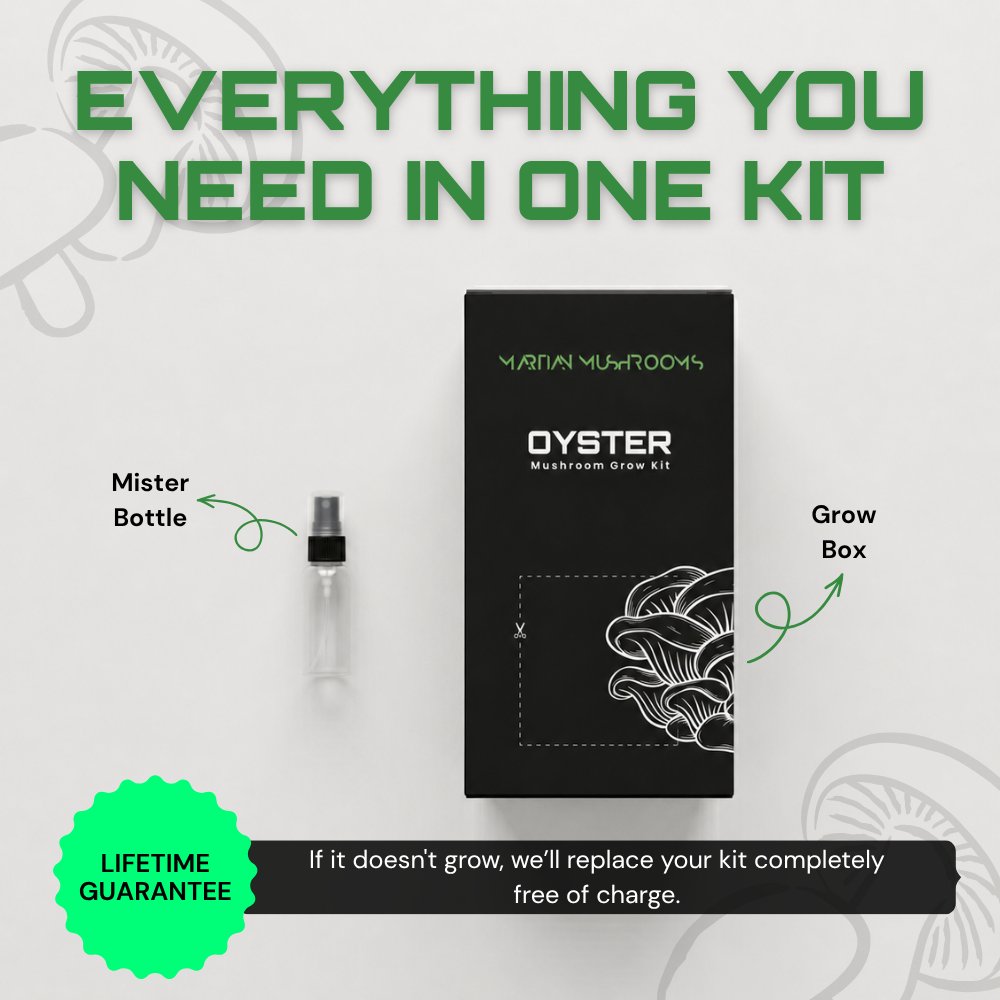 Pink Oyster Mushroom Grow Kit product photo