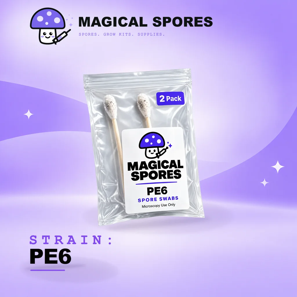 2 pack of PE6 (also known as Penis Envy 6) spore swabs product photo for with 2 swabs in a sterile pack on a purple background featuring stars and swirls of lighter shades of purple